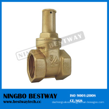 Standard Brass Gate Valve with High Quality (BW-G10)